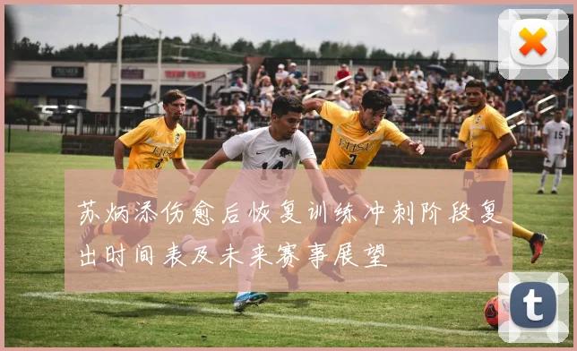 苏炳添伤愈后恢复训练冲刺阶段复出时间表及未来赛事展望